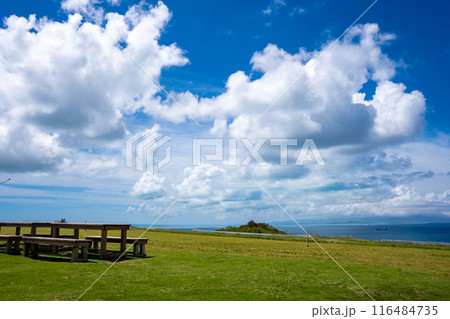 石垣島の夏 116484735