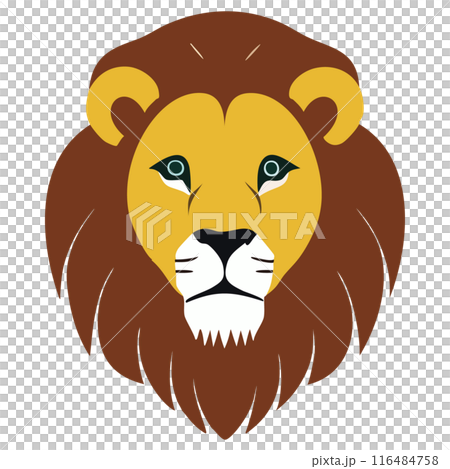 lion 116484758