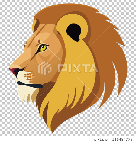 獅子的輪廓 116484775