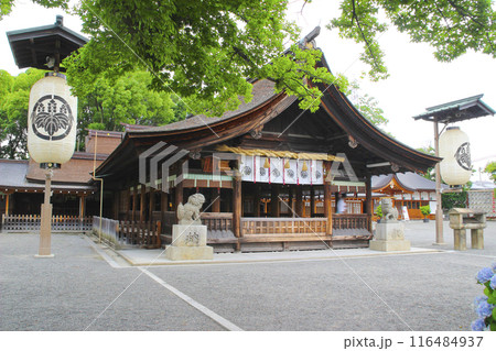 尾張大國霊神社・国府宮・拝殿/愛知県稲沢市国府宮1丁目 尾張大國霊神社・国府宮・拝殿/愛知県稲沢市国府宮1丁目 116484937