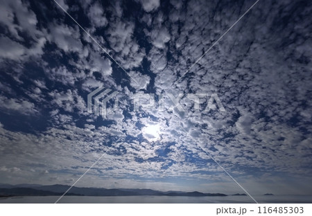 うろこ雲が空一面に広がった爽快な朝空・初冬・超広角・空主体・231123am うろこ雲が空一面に広がった爽快な朝空・初冬・超広角・空主体・231123am 116485303