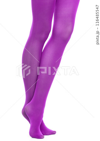 Woman slim legs and violet stockings isolated Woman slim legs and violet stockings isolated 116485547