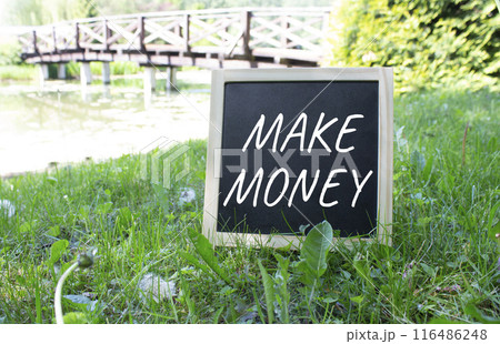 Make Money symbol. Concept word Make Money on black chalk background. Beautiful meadow background with bridge. Business and Make Money concept. Copy space 116486248