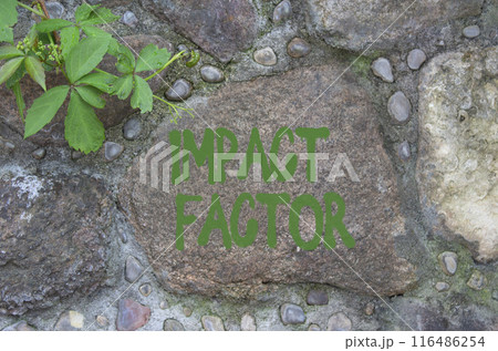 Impact Factor symbol. Stone wall with words Impact Factor. Beautiful stone background. Business and Impact Factor concept. Copy space. 116486254