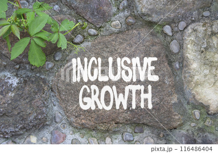 Inclusive growth symbol. Stone wall Inclusive growth on wooden blocks. Beautiful stone background. Business and Inclusive growth concept. Copy space 116486404