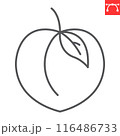 Peach line icon, fresh and fruit, peach vector icon, vector graphics, editable stroke outline sign, eps 10 116486733