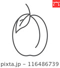Plum line icon, fresh and fruit, apricot vector icon, vector graphics, editable stroke outline sign, eps 10 116486739