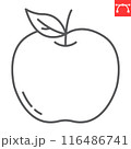 Apple line icon, fresh and fruit, apple vector icon, vector graphics, editable stroke outline sign, eps 10 116486741