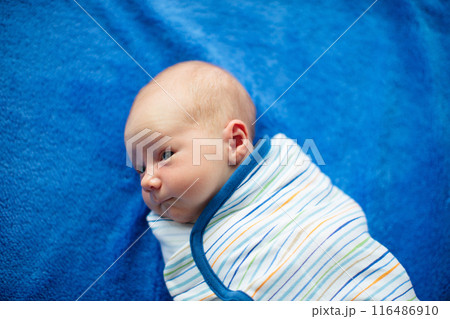 Swaddling newborn child. Baby in swaddle blanket. 116486910