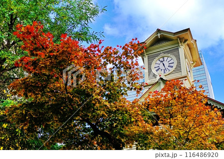 秋の札幌時計台の風景 116486920