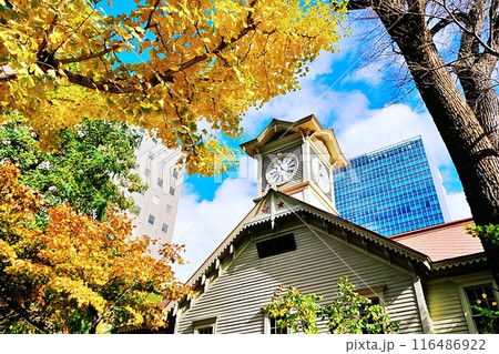 秋の札幌時計台の風景 秋の札幌時計台の風景 116486922