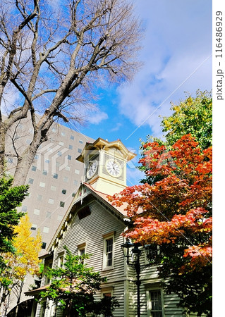 秋の札幌時計台の風景 秋の札幌時計台の風景 116486929