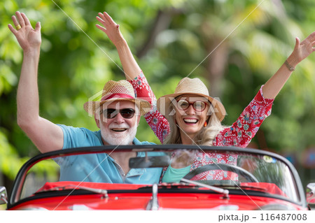 Happy Elderly Caucasian Couple Enjoying a...のイラスト素材 [116487008] - PIXTA