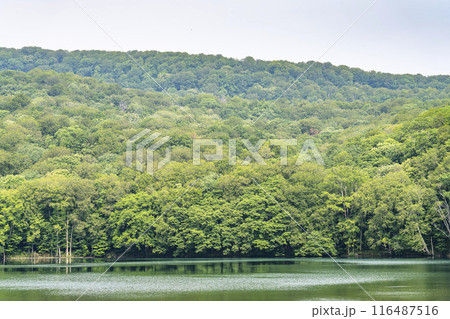 夏の蔦沼 早朝の蔦沼展望台からの風景 青森県十和田市 夏の蔦沼 早朝の蔦沼展望台からの風景 青森県十和田市 116487516