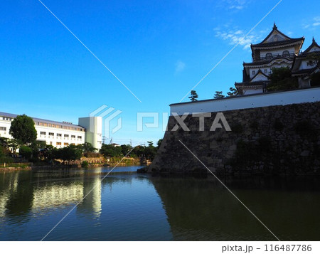 夏の岸和田城 116487786