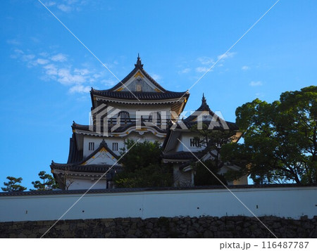 夏の岸和田城 夏の岸和田城 116487787