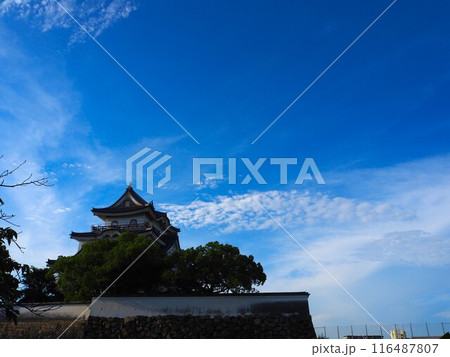 夏の岸和田城 116487807