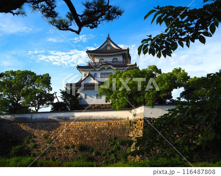 夏の岸和田城 116487808