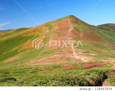 谷川連峰・仙ノ倉山方面から望む秋の平標山 谷川連峰・仙ノ倉山方面から望む秋の平標山 116487854
