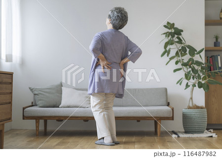腰をおさえる80代の女性 腰をおさえる80代の女性 116487982