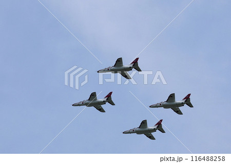 T4　練習機　展示飛行　編隊飛行 116488258