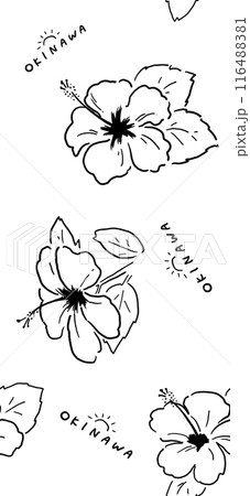 沖縄のハイビスカスをシンプルに表現したイラストリピート柄 116488381