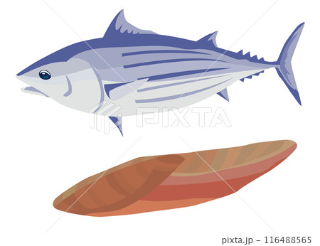 カツオと鰹節 カツオと鰹節 116488565