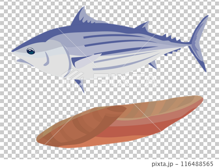 カツオと鰹節 カツオと鰹節 116488565