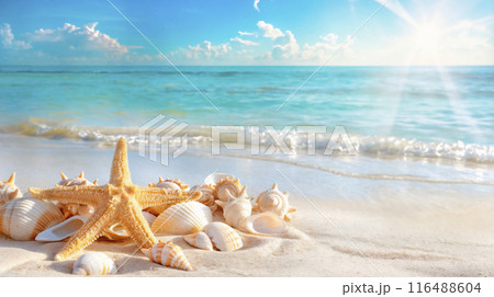 Beautiful beach scene with starfish and few shells on sand. Summer vacation at tropical beach 116488604