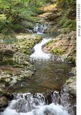 小さい沢の滝　自然の姿 116488810