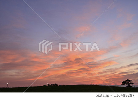 美しい朝焼け空 美しい朝焼け空 116489287