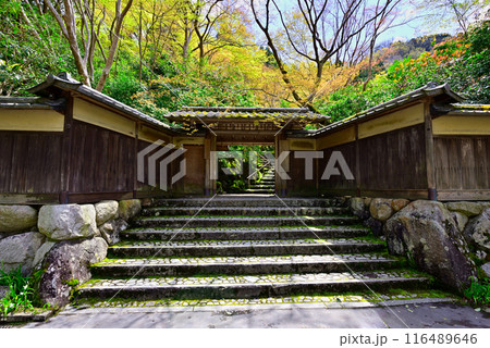 瑠璃光院の山門 瑠璃光院の山門 116489646