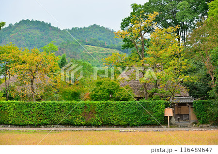 京都 嵯峨野の草庵 落柿舎 京都 嵯峨野の草庵 落柿舎 116489647