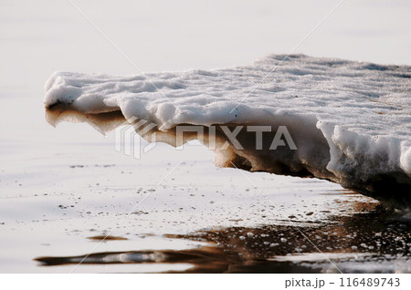 早春の風景 116489743