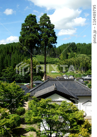 阿蘇郡小国町「北里柴三郎記念館」 里山の緑に囲まれた観光施設 阿蘇郡小国町「北里柴三郎記念館」 里山の緑に囲まれた観光施設 116489795