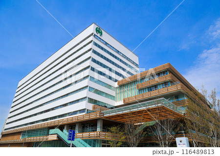 【千葉県千葉市】千葉市役所の風景 116489813