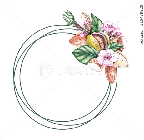 Watercolor frame of almond nuts Watercolor frame of almond nuts 116489828