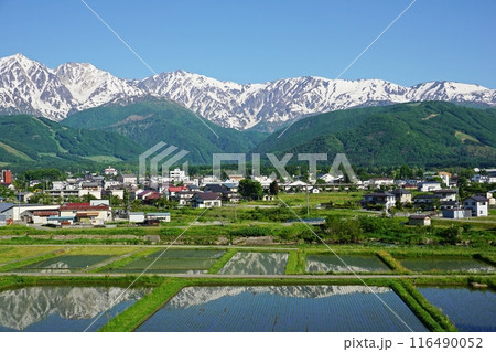 白馬村 ハイランドホテル付近の天神坂から眺める水鏡の白馬岳、後立山連峰 白馬村 ハイランドホテル付近の天神坂から眺める水鏡の白馬岳、後立山連峰 116490052
