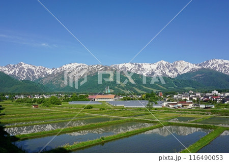 白馬村　ハイランドホテル付近の天神坂から眺める水鏡の白馬岳、後立山連峰 116490053