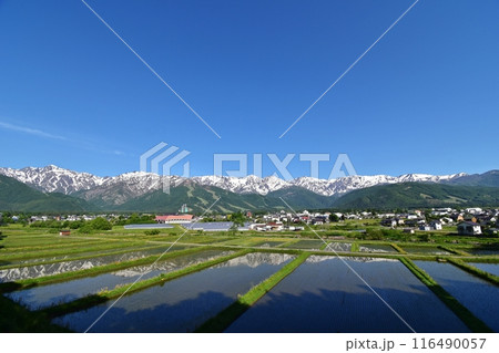 白馬村　ハイランドホテル付近の天神坂から眺める水鏡の白馬岳、後立山連峰 116490057