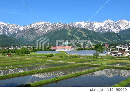 白馬村　ハイランドホテル付近の天神坂から眺める水鏡の白馬岳、後立山連峰 116490060