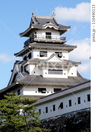 今治城天守閣を北西方面より望む 今治城天守閣を北西方面より望む 116490113