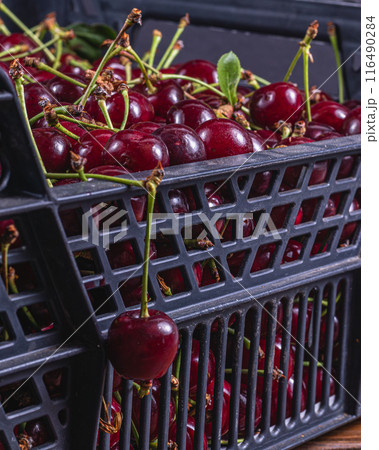 Ripe cherry in a plastic box on the table top view and side background 116490284