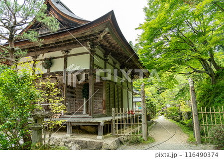 滋賀県東近江市 新緑の百済寺本坊から庭園への小道 滋賀県東近江市 新緑の百済寺本坊から庭園への小道 116490374
