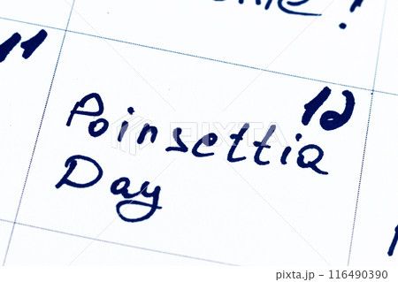 National poinsettia day Photo calendar 116490390