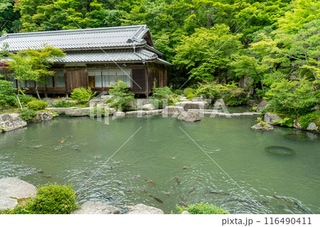 滋賀県東近江市　新緑の百済寺の池泉回遊式庭園と池 116490411