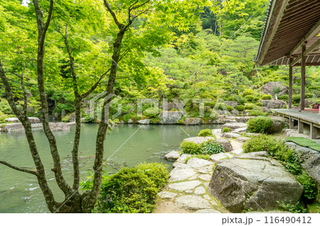 滋賀県東近江市　新緑の百済寺の池泉回遊式庭園と池 116490412