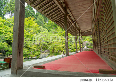滋賀県東近江市 新緑の百済寺本坊と池泉回遊式庭園の池 滋賀県東近江市 新緑の百済寺本坊と池泉回遊式庭園の池 116490418