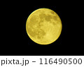 中秋の名月 116490500