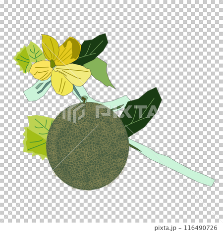 I created the melon in PNG format, so you can paste it on a postcard, A4 paper, or whatever you like and enjoy it. 116490726